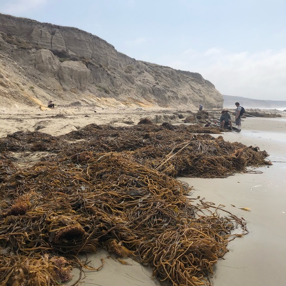 Meet your Posher - Picture 11 of 11